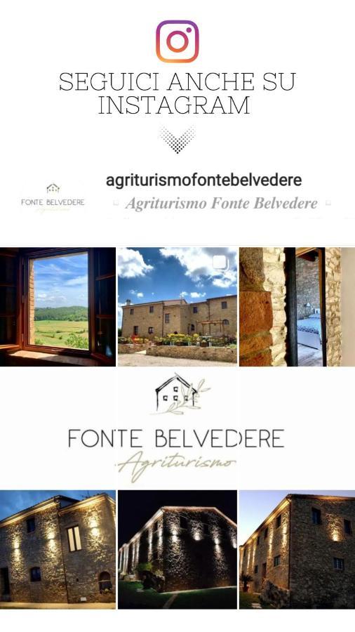 Апартаменты Agriturismo Fonte Belvedere Коллесальветти Экстерьер фото